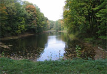 Bila Tserkva,Park-arboretum Olexandrija
