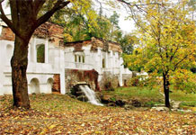 Bila Tserkva,Park-arboretum Olexandrija